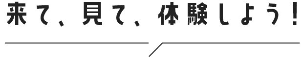 来て、見て、体験しよう！